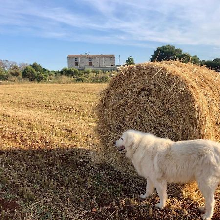 Agriturismo La Palascia Masseria Agreste 오트란토 외부 사진
