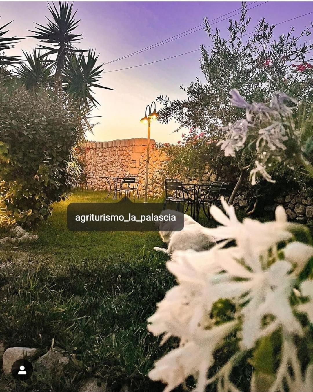 Agriturismo La Palascia Masseria Agreste 오트란토 외부 사진