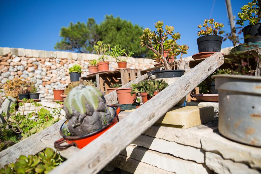 Agriturismo La Palascia Masseria Agreste 오트란토 객실 사진