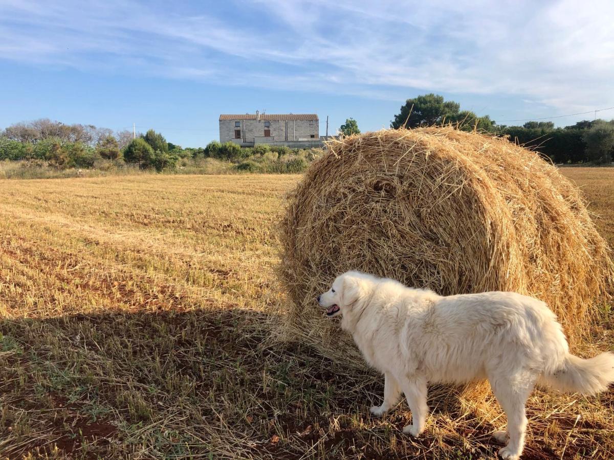 Agriturismo La Palascia Masseria Agreste 오트란토 외부 사진
